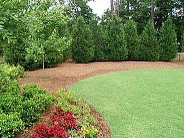 privacy-landscaping-ideas-57_11 Ideje za uređenje okoliša za privatnost