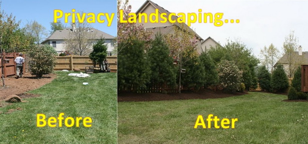 privacy-landscaping-ideas-57_13 Ideje za uređenje okoliša za privatnost