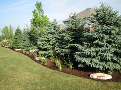 privacy-landscaping-ideas-57_14 Ideje za uređenje okoliša za privatnost