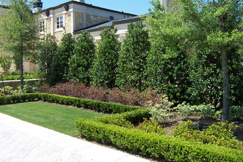 privacy-landscaping-ideas-57_6 Ideje za uređenje okoliša za privatnost