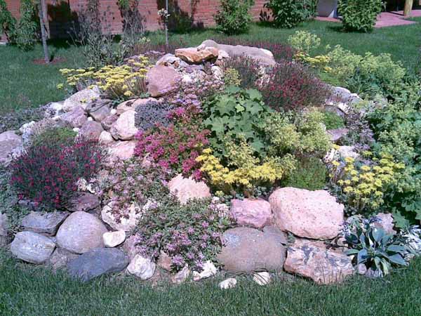 rock-garden-ideas-for-small-gardens-14_10 Ideje za rock vrt za male vrtove