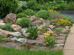 rock-garden-ideas-for-small-gardens-14_11 Ideje za rock vrt za male vrtove