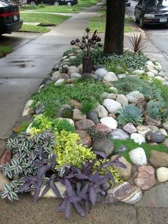 rock-garden-ideas-for-small-gardens-14_19 Ideje za rock vrt za male vrtove