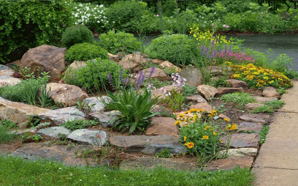 rockgardens-53 Rock vrtovi