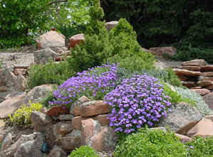 rockgardens-53_2 Rock vrtovi