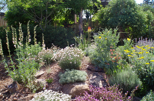 rockgardens-53_3 Rock vrtovi
