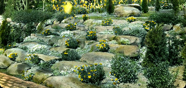rockgardens-53_4 Rock vrtovi