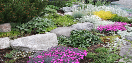 rockgardens-53_5 Rock vrtovi