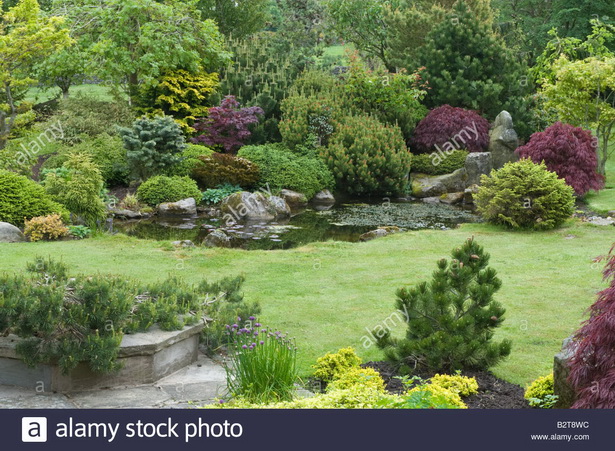 shrubs-for-rock-gardens-14_14 Grmlje za rock vrtove