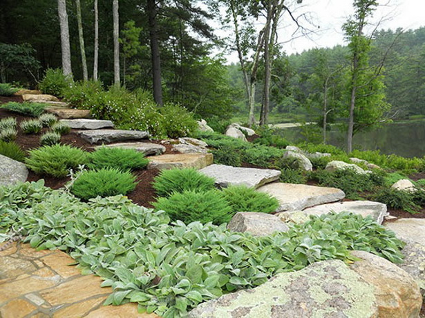 shrubs-for-rock-gardens-14_17 Grmlje za rock vrtove