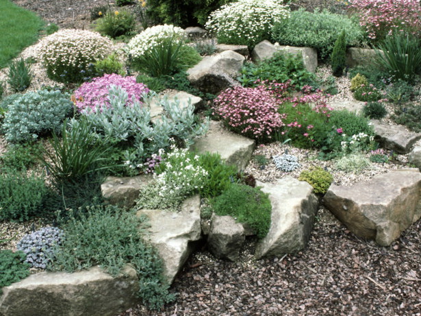 shrubs-for-rock-gardens-14_2 Grmlje za rock vrtove