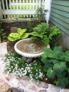 simple-landscaping-ideas-for-small-front-yards-17_14 Jednostavne ideje za uređenje okoliša za mala prednja dvorišta