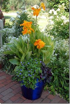 tropical-planter-ideas-10 Ideje za tropske plantaže