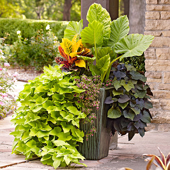 tropical-planter-ideas-10_10 Ideje za tropske plantaže