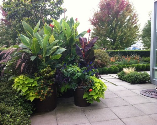 tropical-planter-ideas-10_11 Ideje za tropske plantaže