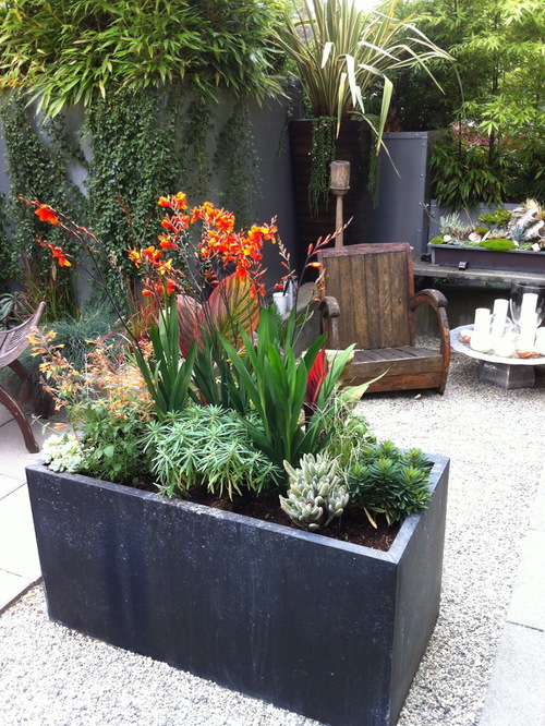 tropical-planter-ideas-10_12 Ideje za tropske plantaže