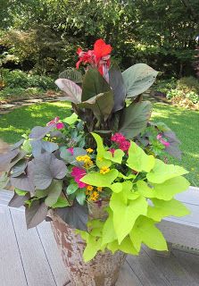 tropical-planter-ideas-10_13 Ideje za tropske plantaže