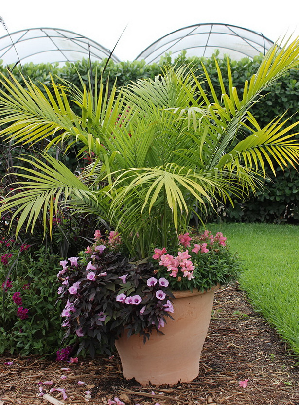 tropical-planter-ideas-10_14 Ideje za tropske plantaže