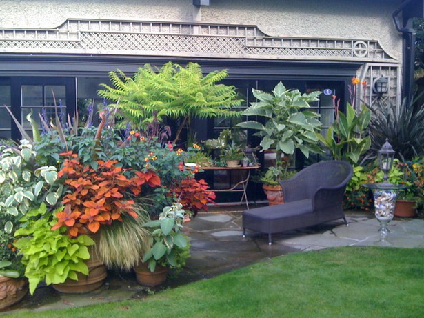 tropical-planter-ideas-10_17 Ideje za tropske plantaže
