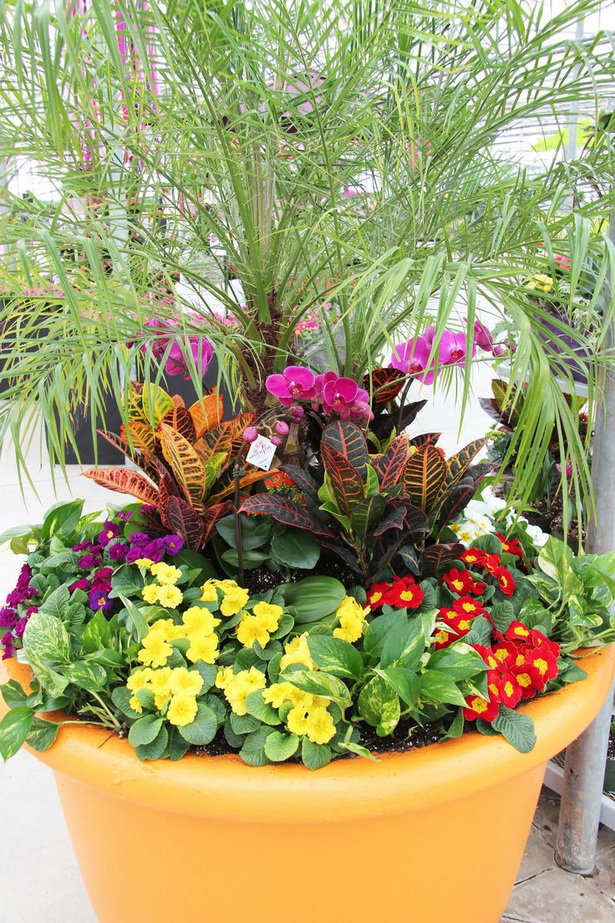 tropical-planter-ideas-10_2 Ideje za tropske plantaže