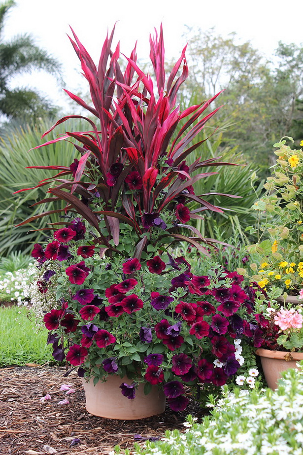 tropical-planter-ideas-10_20 Ideje za tropske plantaže