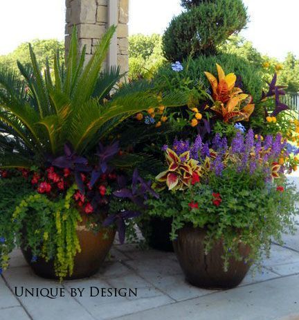 tropical-planter-ideas-10_3 Ideje za tropske plantaže