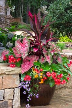 tropical-planter-ideas-10_4 Ideje za tropske plantaže