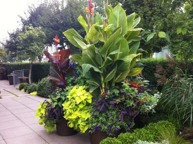 tropical-planter-ideas-10_6 Ideje za tropske plantaže
