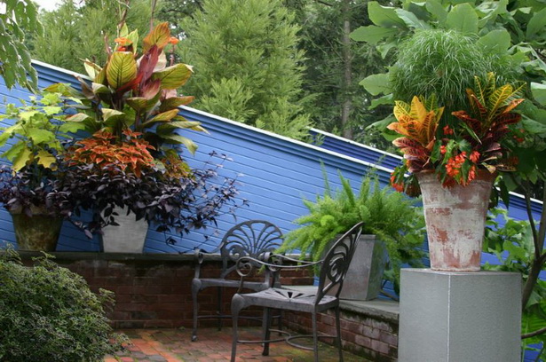 tropical-planter-ideas-10_7 Ideje za tropske plantaže