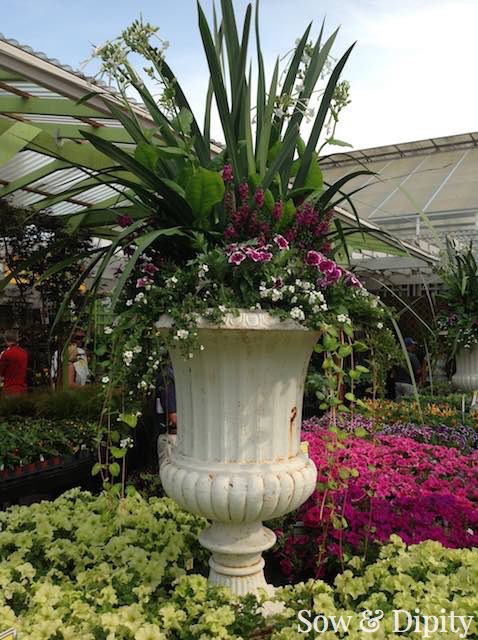 tropical-planter-ideas-10_8 Ideje za tropske plantaže