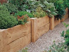 wood-flower-bed-border-87 Drvena granica za cvjetnjak