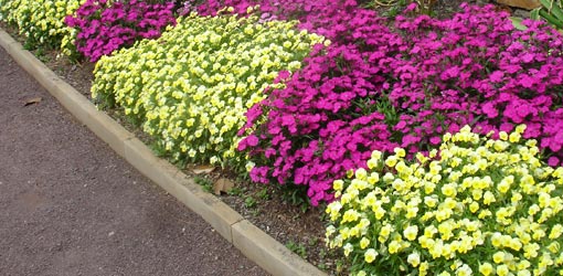 wood-flower-bed-border-87_13 Drvena granica za cvjetnjak