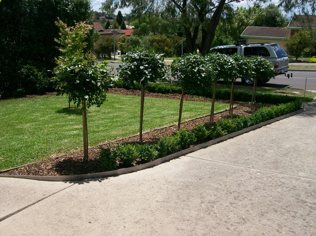 border-plants-for-driveways-71 Granične biljke za prilaze