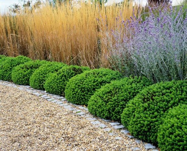 border-plants-for-driveways-71_13 Granične biljke za prilaze