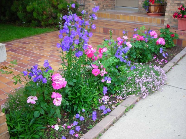 border-plants-for-driveways-71_14 Granične biljke za prilaze