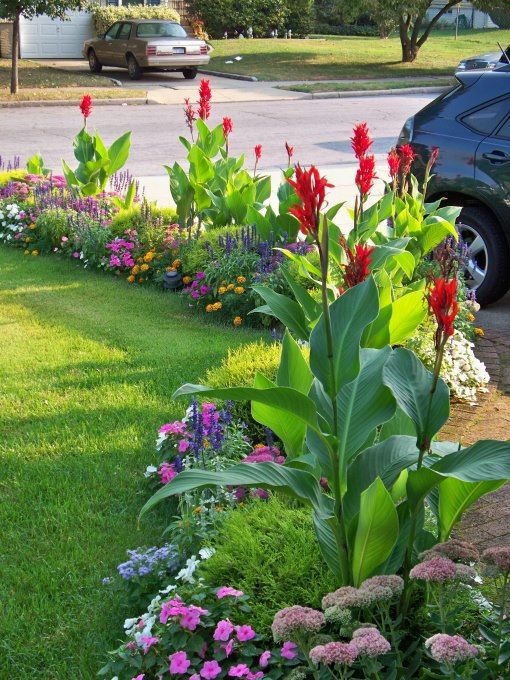 border-plants-for-driveways-71_15 Granične biljke za prilaze
