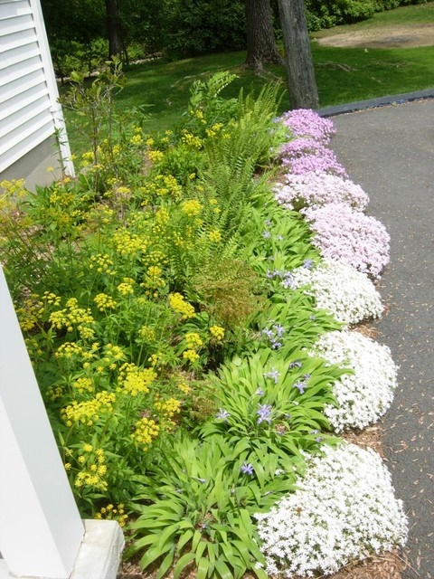 border-plants-for-driveways-71_20 Granične biljke za prilaze