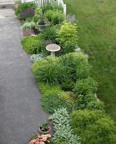 border-plants-for-driveways-71_3 Granične biljke za prilaze