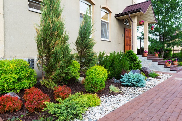 bushes-in-front-yard-02_17 Grmlje u dvorištu