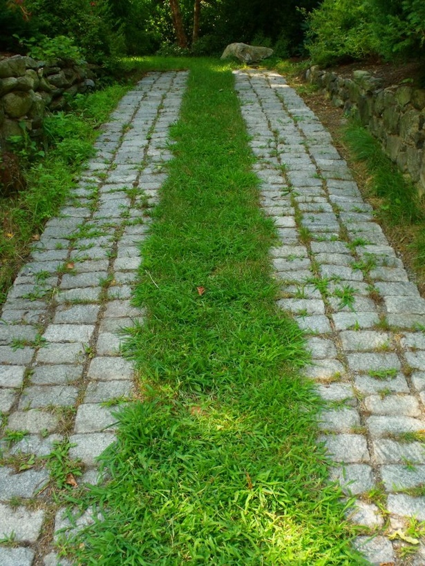 driveway-designs-with-grass-77_10 Dizajn travnatih prilaza