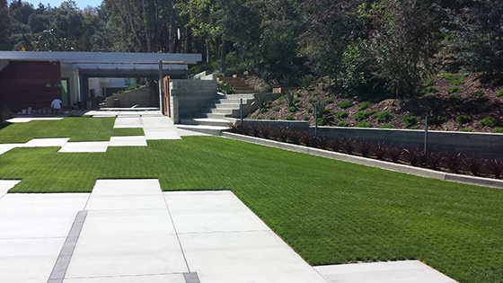 driveway-designs-with-grass-77_17 Dizajn travnatih prilaza