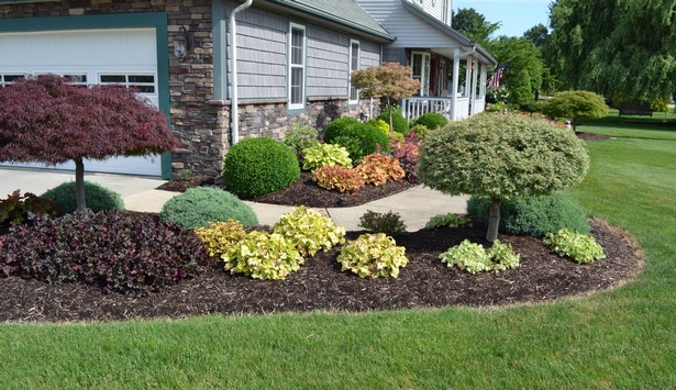 landscaping-plant-ideas-for-front-of-house-75_10 Ideje krajobraznih biljaka za fasadu kuće