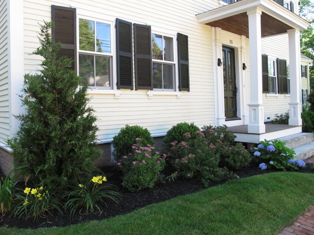 landscaping-plant-ideas-for-front-of-house-75_14 Ideje krajobraznih biljaka za fasadu kuće