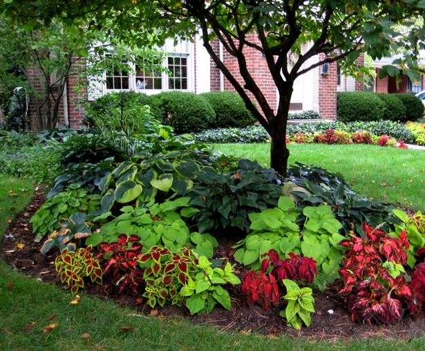 landscaping-plant-ideas-for-front-of-house-75_3 Ideje krajobraznih biljaka za fasadu kuće