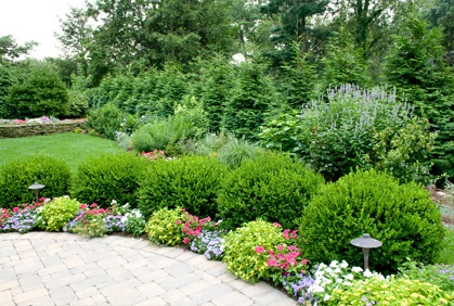 landscaping-plant-ideas-for-front-of-house-75_4 Ideje krajobraznih biljaka za fasadu kuće