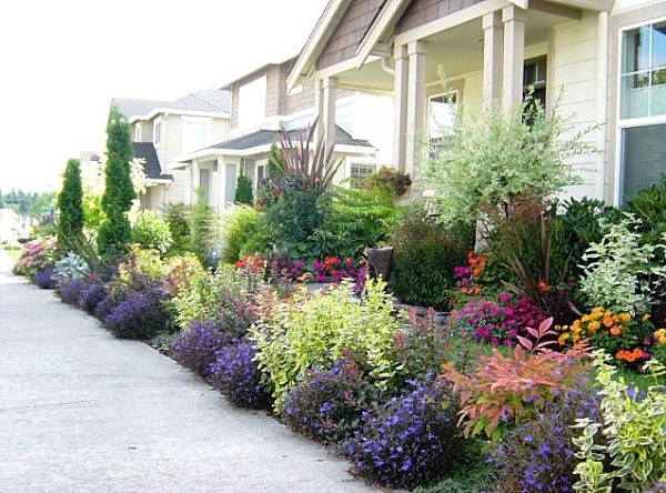 landscaping-plant-ideas-for-front-of-house-75_8 Ideje krajobraznih biljaka za fasadu kuće