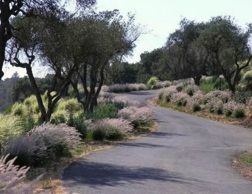 u-shaped-driveway-landscaping-ideas-01_18 Ideje za uređenje prilaza U obliku snijega