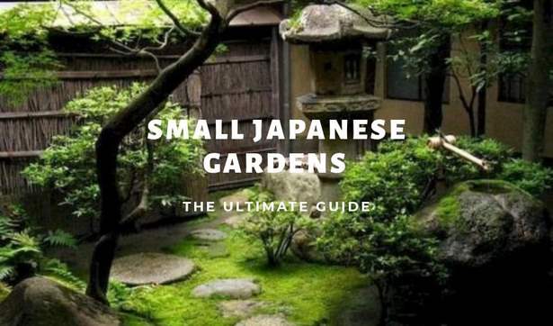 designing-japanese-garden-small-60_5 Projektiranje malog japanskog vrta