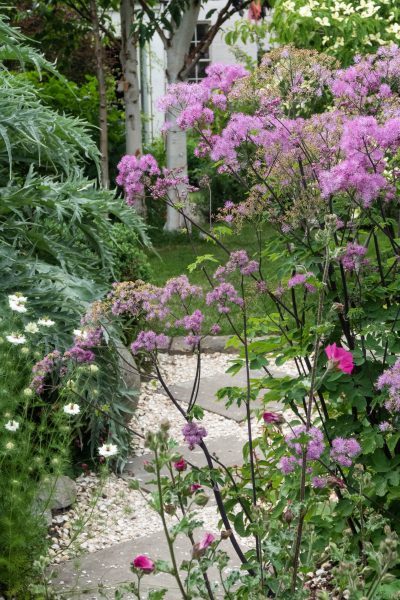 garden-plants-for-small-gardens-35_15 Vrtne biljke za male vrtove