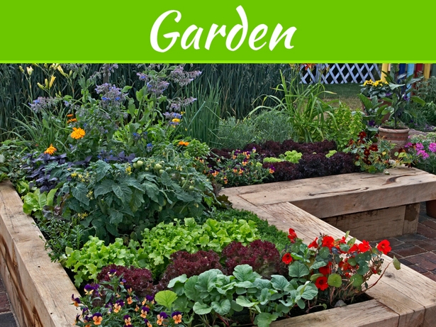 garden-plants-for-small-gardens-35_16 Vrtne biljke za male vrtove